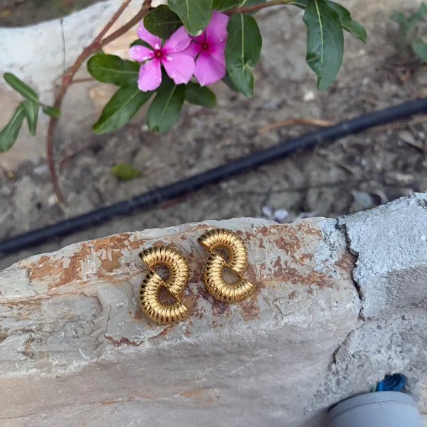 Infinity Shine-Stainless Steel earrings.